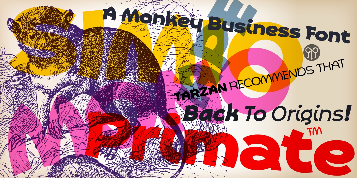 Primate Italic Font preview